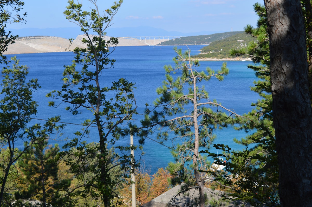 Apartman Combaj 3