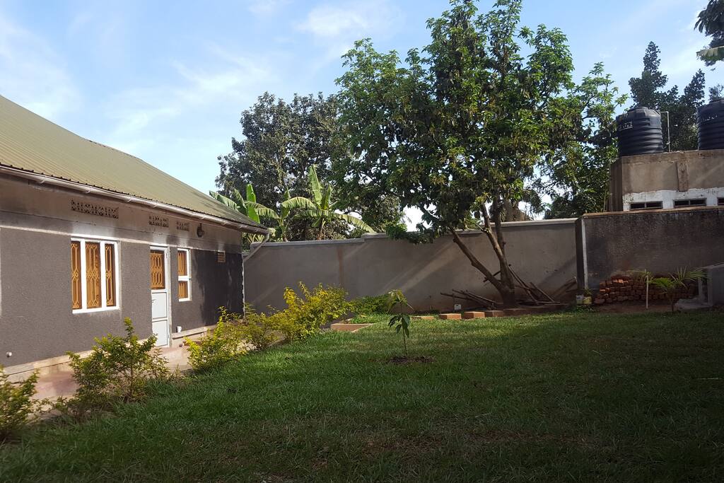 Backyard with view at avocado tree