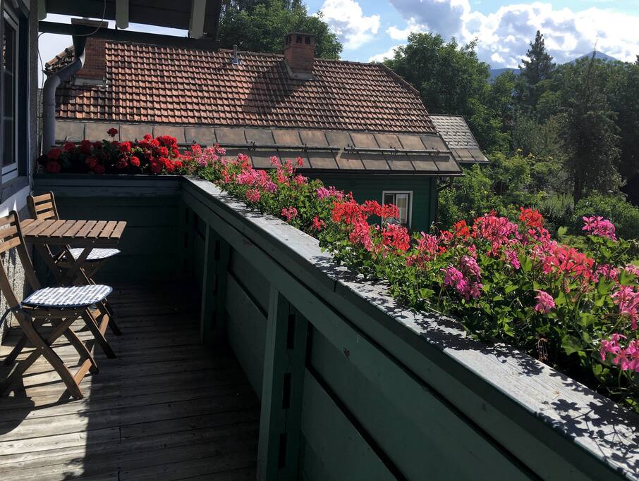 Sunny Balcony