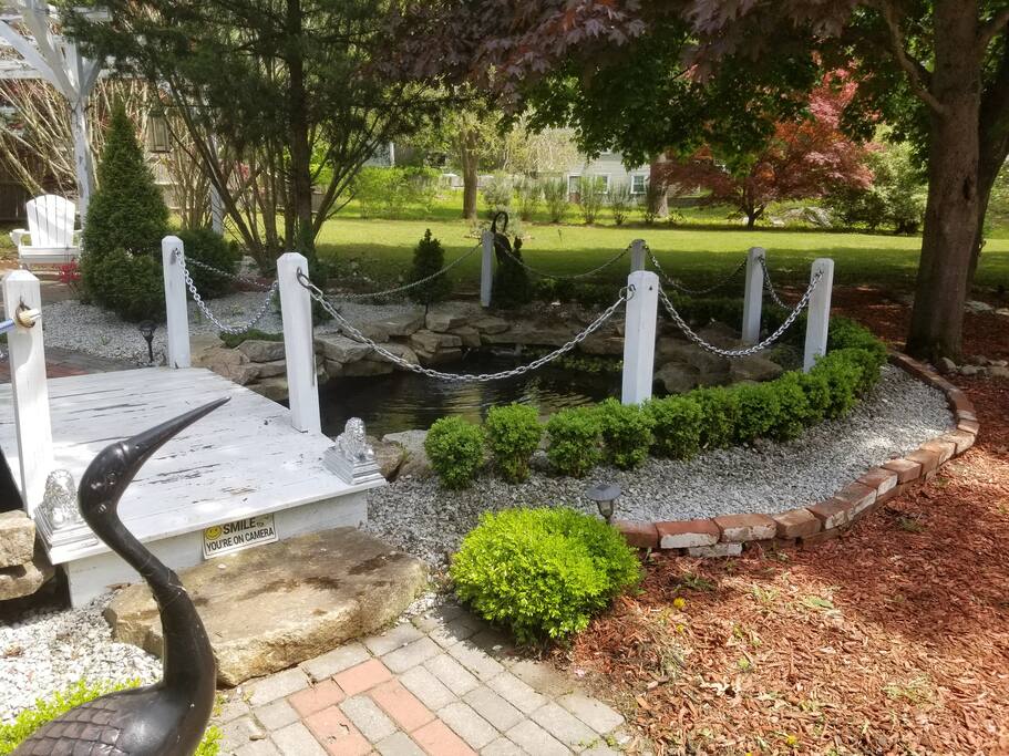 my yard/waterfall koi pond