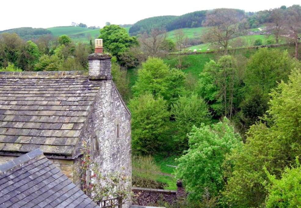 View from the bedroom overlooking the dale