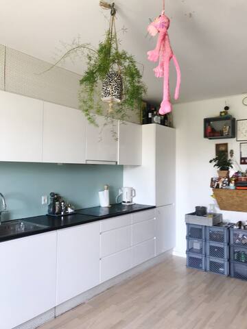 CPH central house with green area gallery image 3