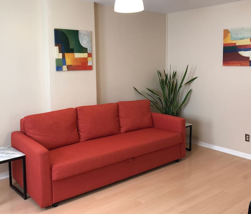 Living Room with Pull-out Sofabed