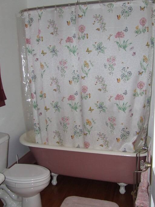 Antique Claw Foot Tub