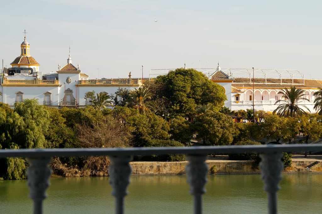 View of the Maestranza bullring from the living room.