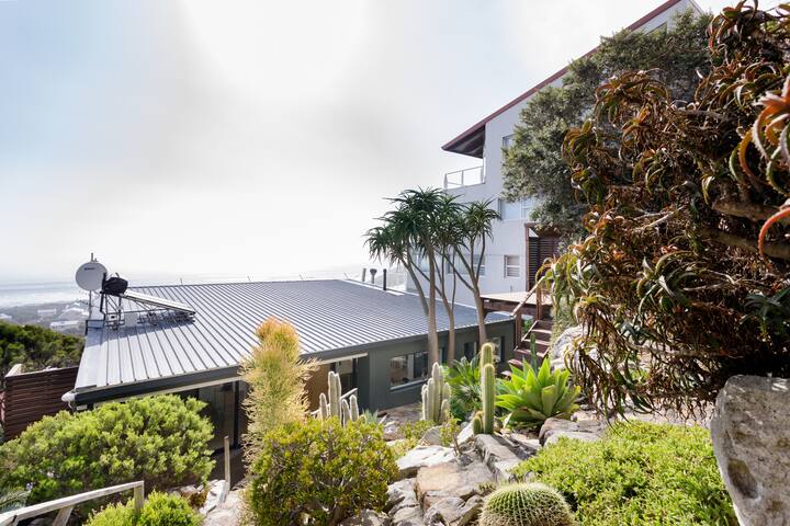 Beachfront Showhome with Sun-Soaked Terraces gallery image 5