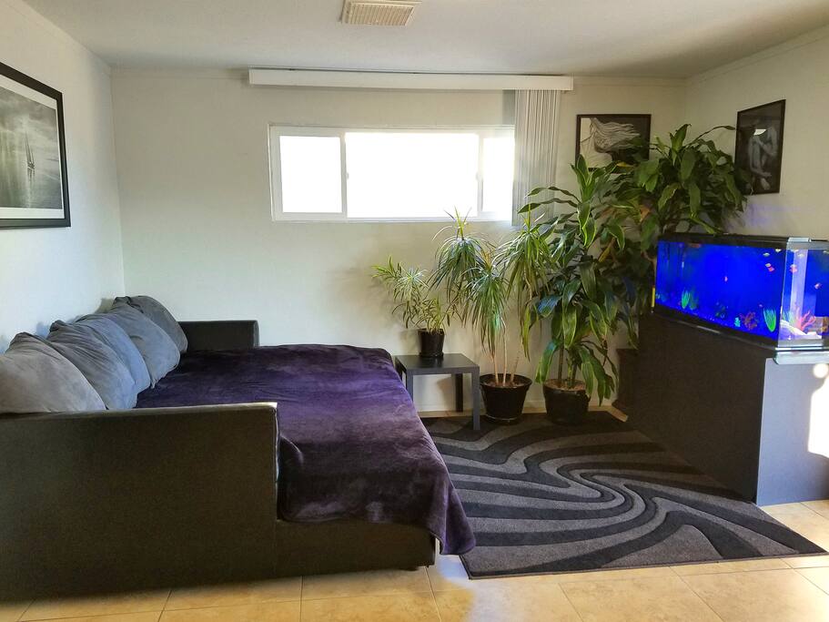 Rooms For Rent In Scottsdale Rooms For Rent In Scottsdale