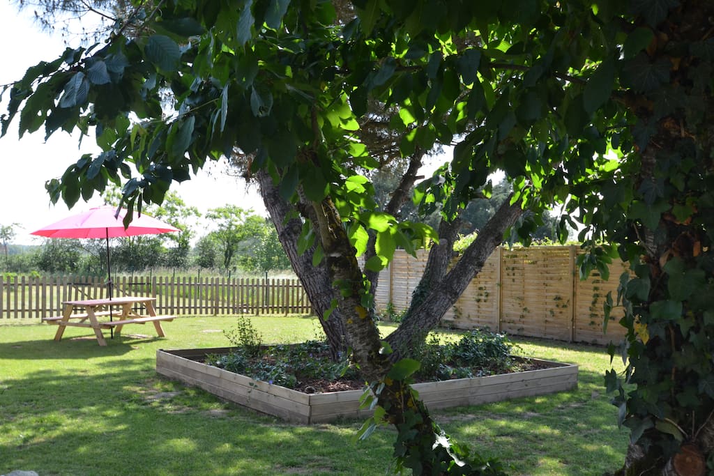 De grote boom in de tuin biedt schaduw wanneer gewenst en de Picknick tafel aan het einde van de tuin is heerlijk om gezellig in open lucht of onder de parasol te genieten.