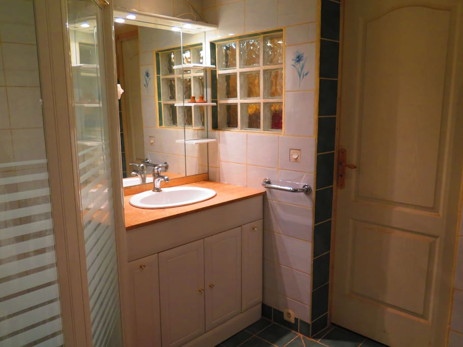 Salle de bain avec douche et baignoire.