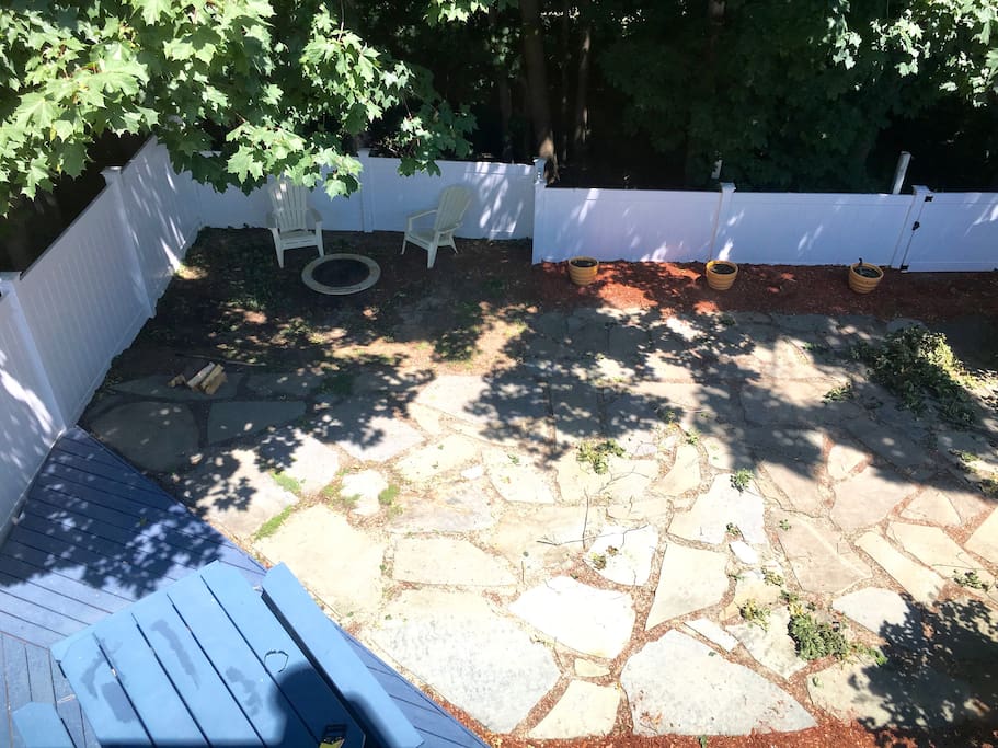 Back yard
