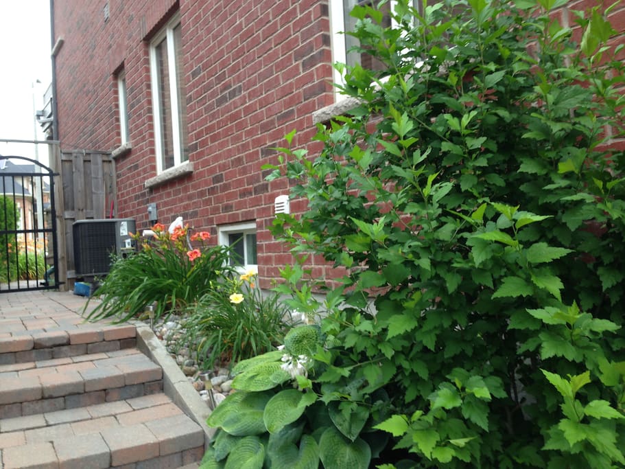 Walk through the garden to apartment