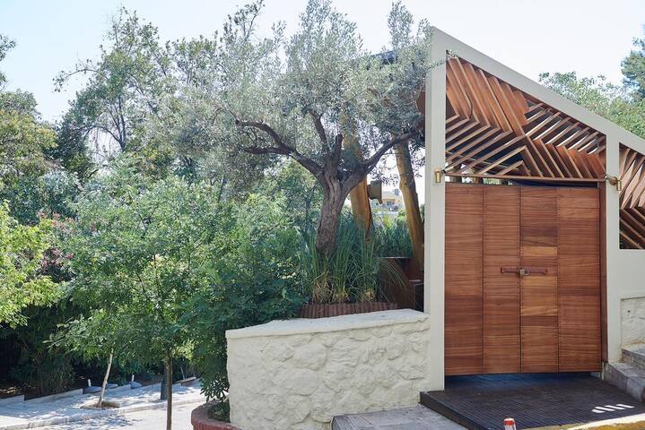 Lux Central Apt at Kolonaki gallery image 2