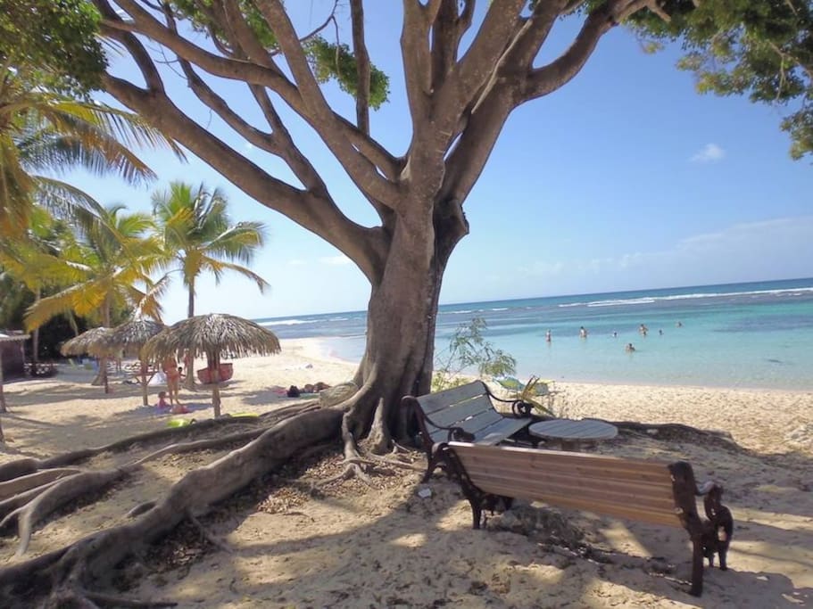 Plage de la résidence