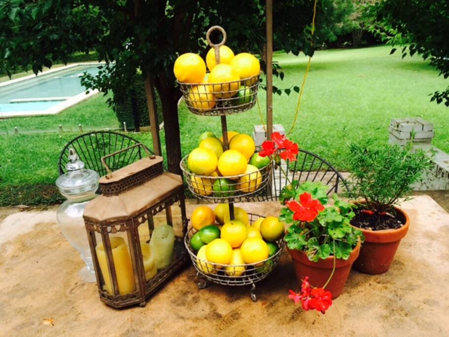 Alfresco dining near the Pool