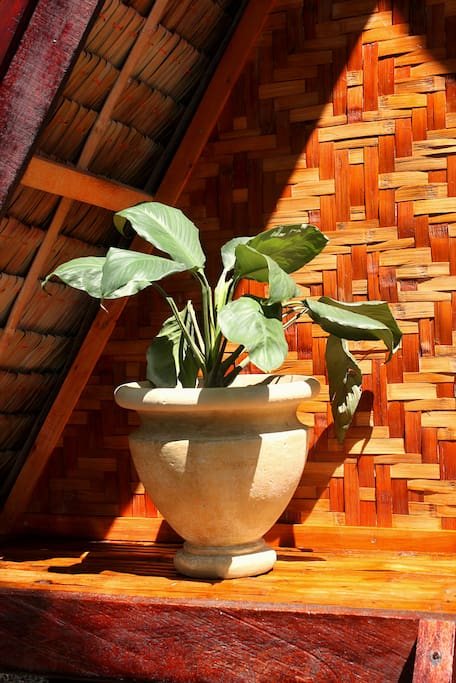 Nipa Haus Bungalow