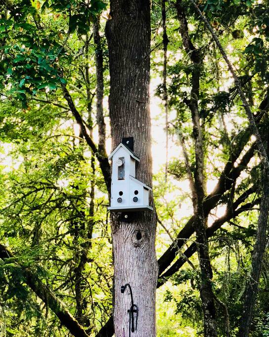 Summer home