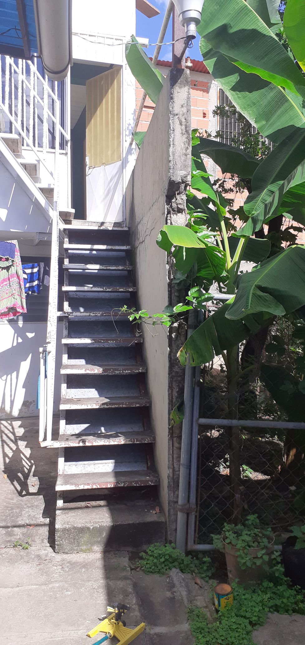 An outdoor staircase leads to an upper level, flanked by lush greenery. The steps are simple and made of sturdy material, while vibrant banana plants add a natural touch to the setting. Sunlight casts soft shadows on the adjacent wall.