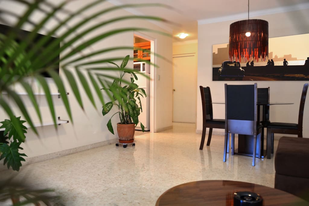 Open Living-dinning room- AC available