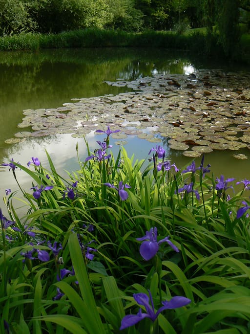 promenade au bord de l eau