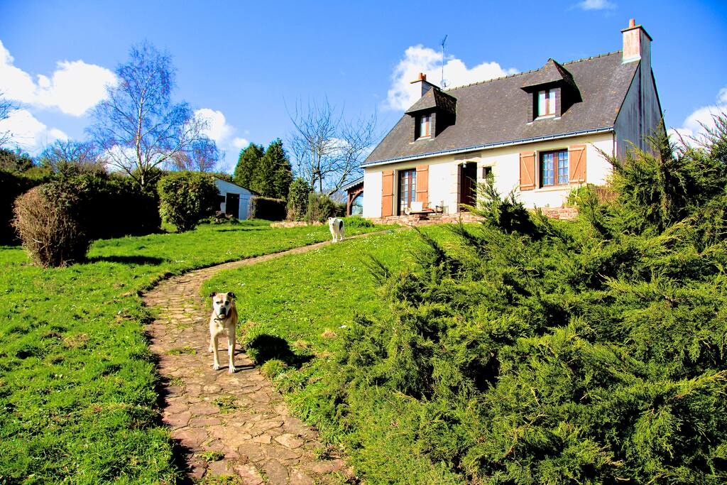 There's a big garden, parking and under house garage