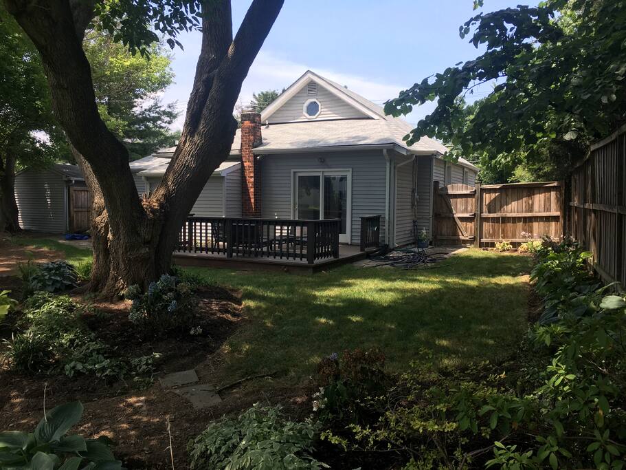 back yard