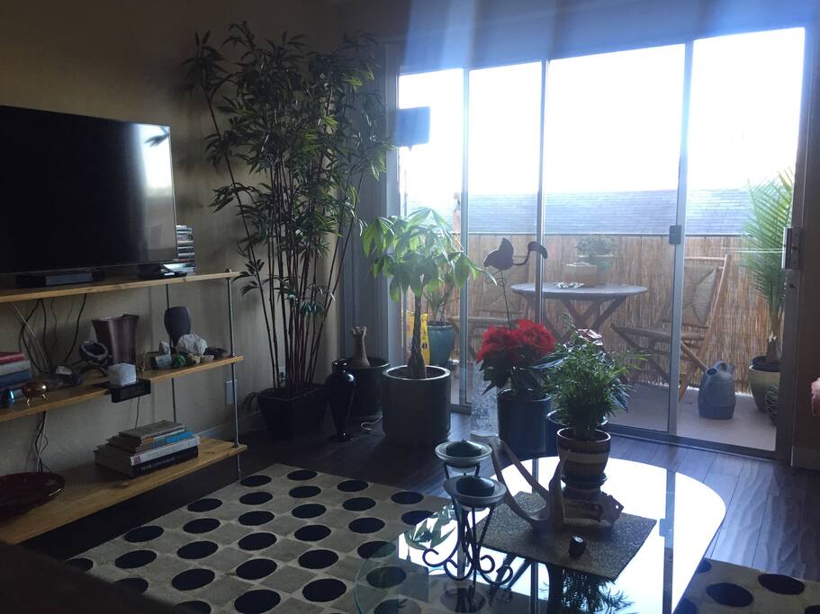 Living room and Balcony