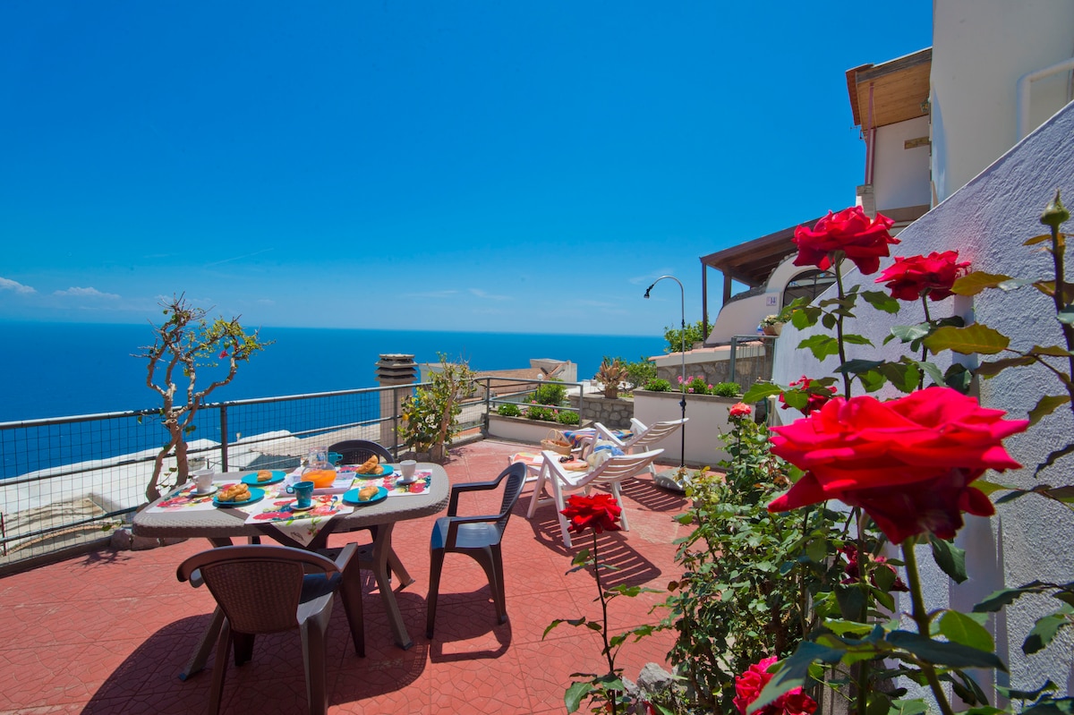 A sunlit terrace overlooks a vast blue sea, surrounded by vibrant red roses. A dining table is set with colorful dishes, complemented by white lounge chairs and a small tree. The serene atmosphere is enhanced by the clear sky and expansive coastal view.