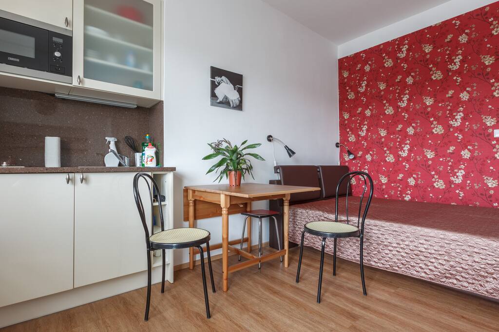 Living room: with 1 king-size bed for two person, foldout sofa for two person and tiny dinning area.