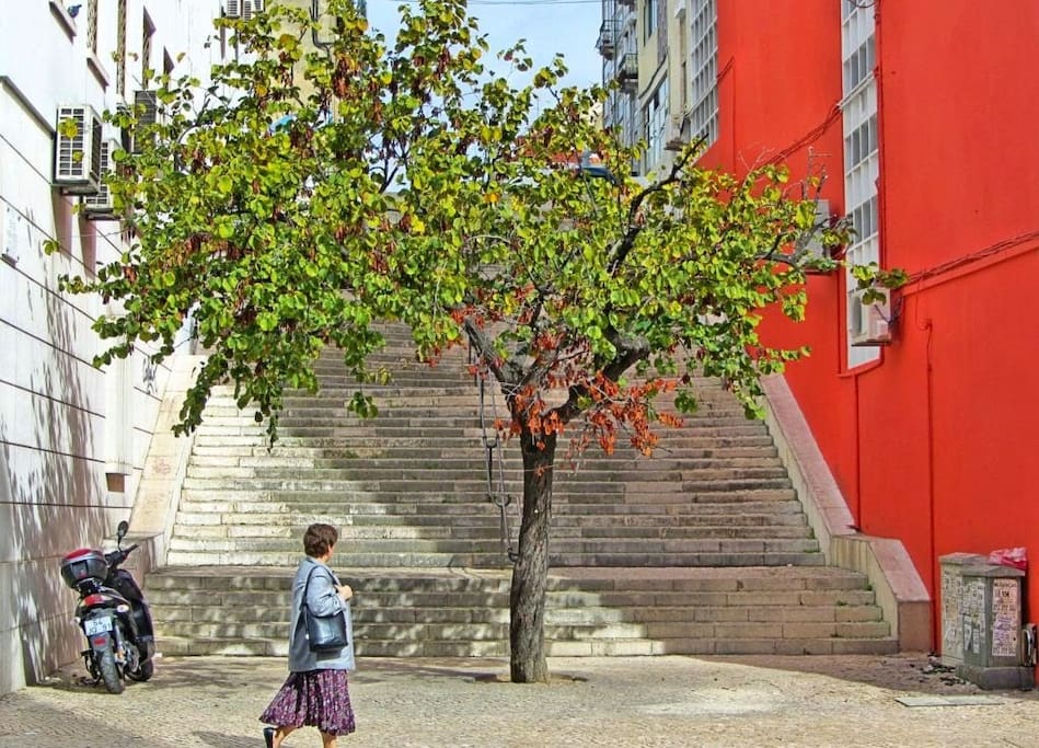 One of the entrances to our street