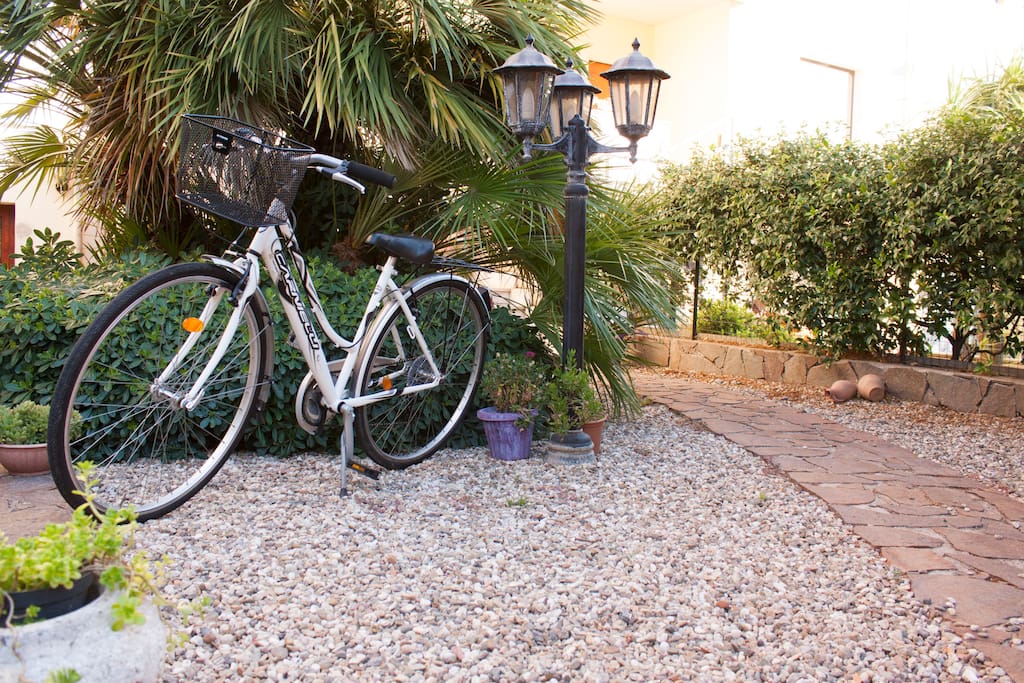 Giardino