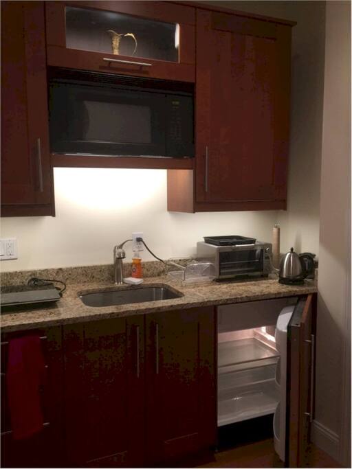 kitchenette with undermount fridge