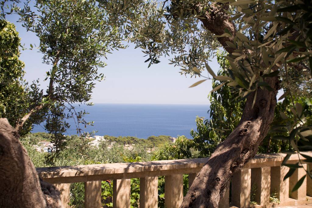 Vista mare dal giardino