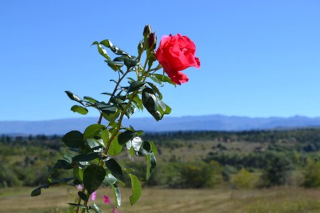 La vista hacia las sierras grandes de Córdoba Calamuchita!