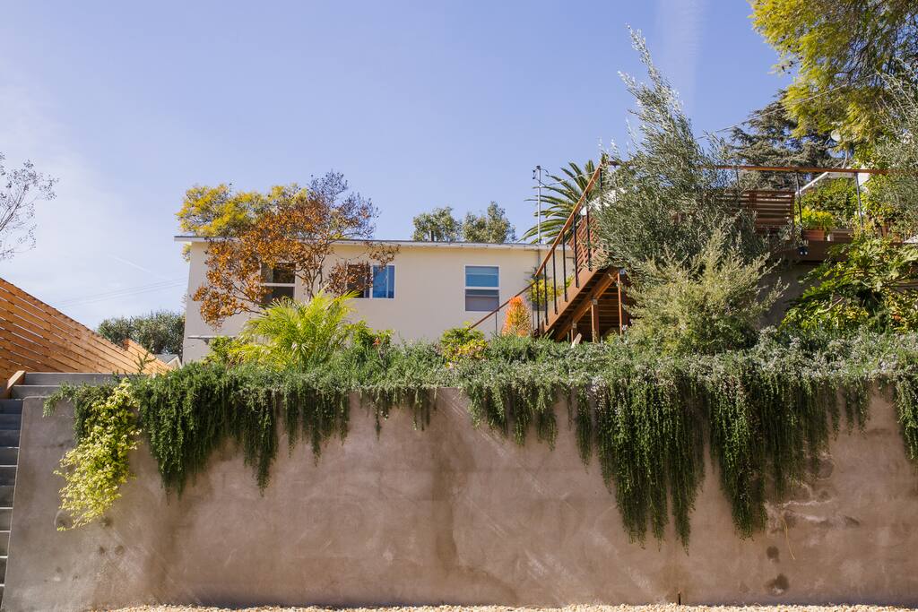 Can we talk about the backyard?!