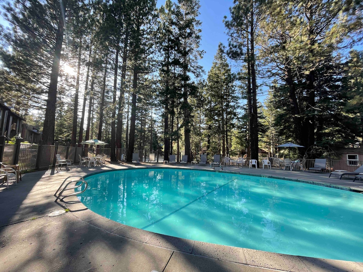 A clear blue pool is surrounded by tall trees, creating a serene atmosphere. Lounge chairs are positioned around the pool, with umbrellas providing shade. Sunlight filters through the branches, reflecting softly on the water's surface.