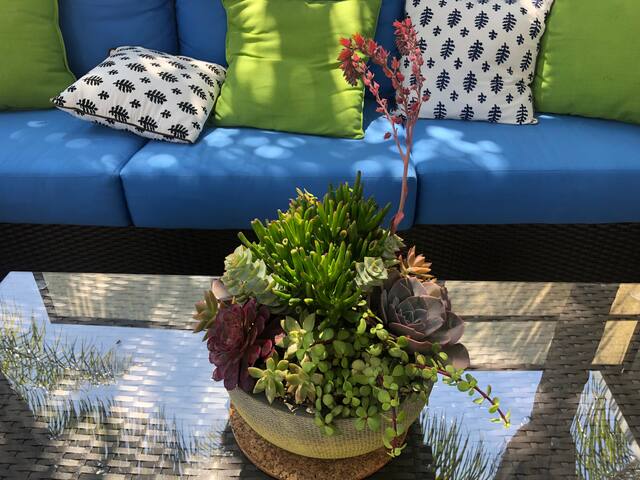 Amenity-Rich Abbot Kinney Venice Oasis! gallery image 4