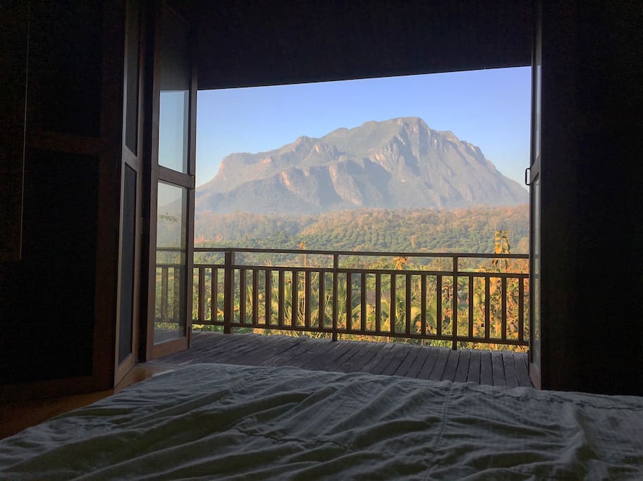 VIEWS IN BED?