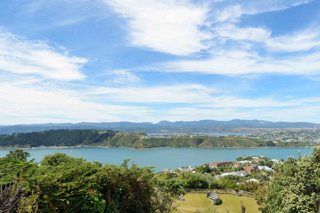 Panoramic Views