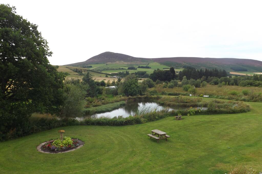 View from Harris Bedroom