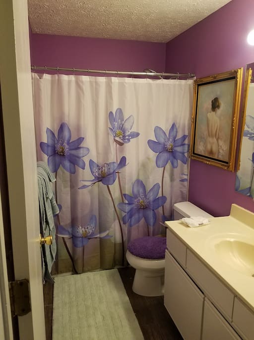 Guest bathroom