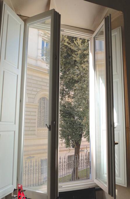the window of the room