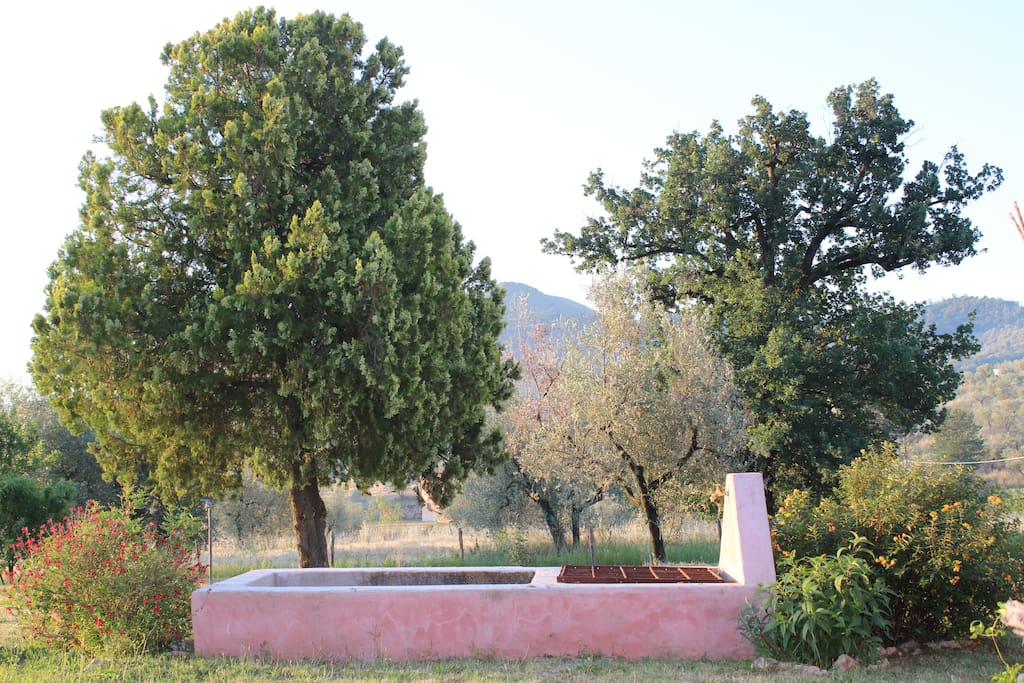 il fontanile, la quercia, la tuja