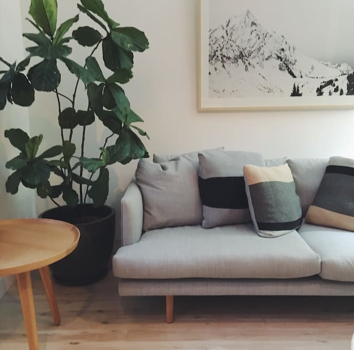 Super comfy lounge