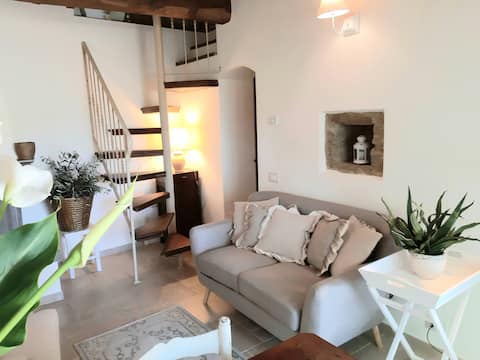 Top performing Airbnb: "L'Antico Metato" house in the woods in Cortona