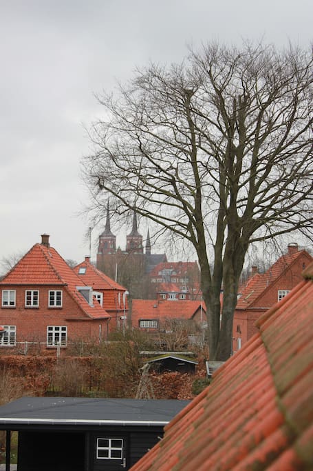 The view to Roskilde Dom church