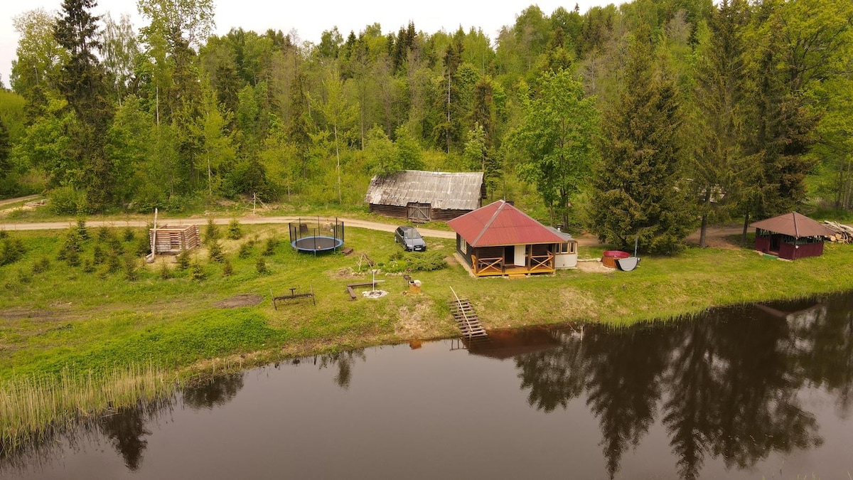 An aerial view captures a cozy house near a serene pond, surrounded by lush greenery. A trampoline is visible in the yard, along with a small dock reaching into the water. The house features a welcoming porch under a red roof.