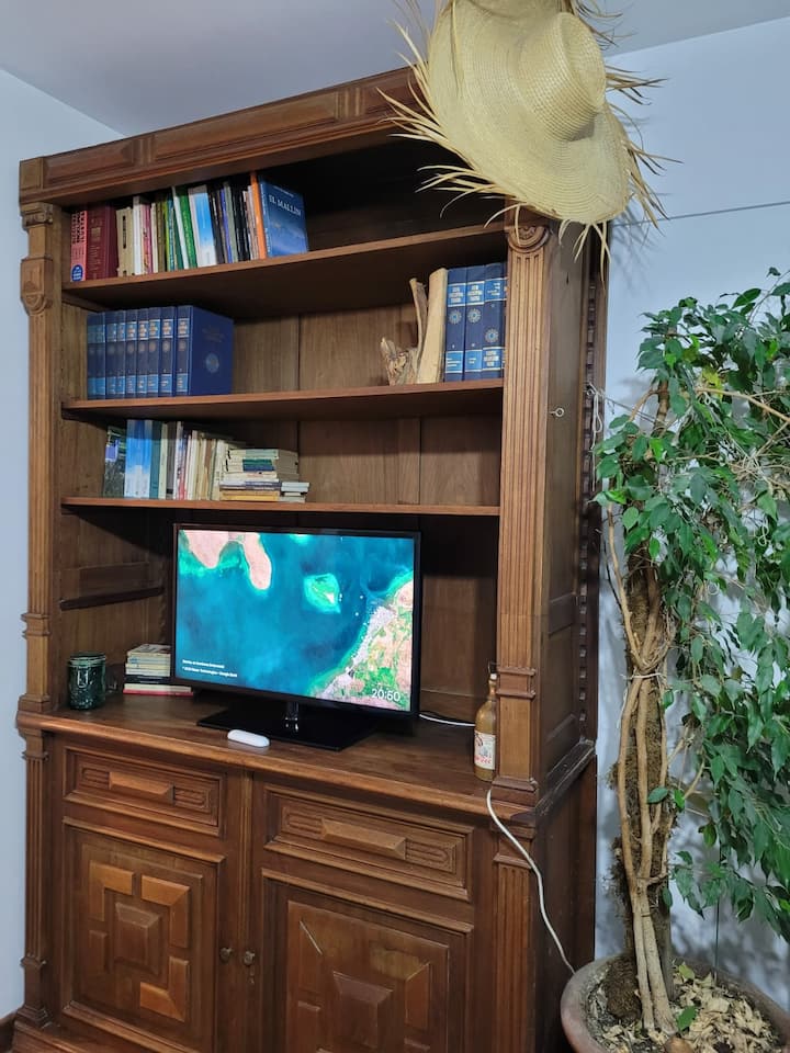 تلفزيون مع ديزني بلس وإتش بي أو ماكس. يوتيوب.