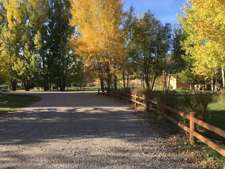 Autumn view of the loop driveway in front of our cabins.