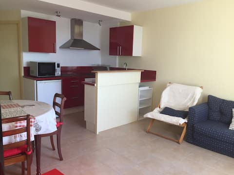 Top performing Airbnb: Waterfront apartment in Plougasnou