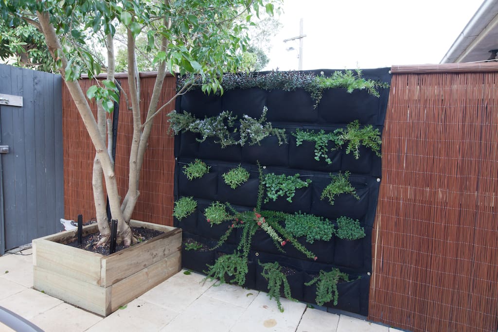 Wall garden